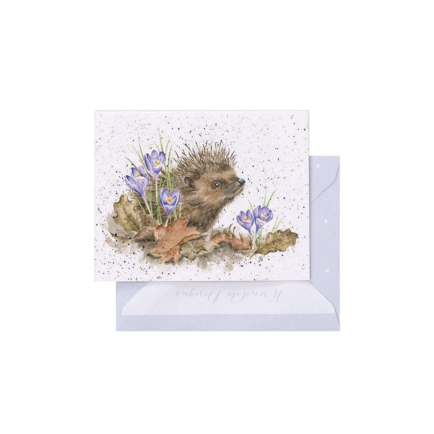 Wrendale Designs Mini card Hedgehog NEW BEGINNINGS