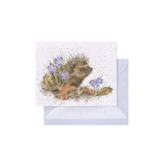 Wrendale Designs Mini card Hedgehog NEW BEGINNINGS  
