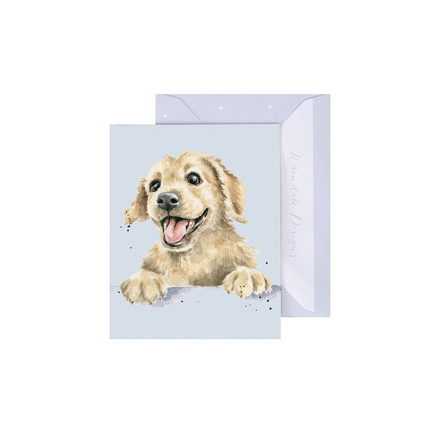 Wrendale Designs Mini card Dog GOLDEN BOY