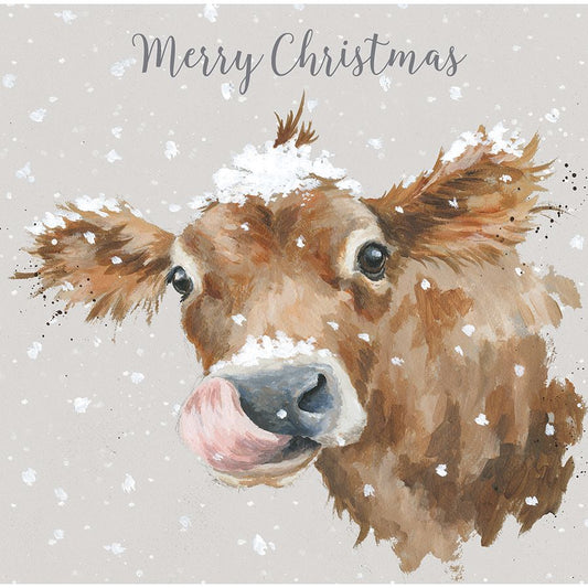 Wrendale Designs Christmas Cards Box-8 Premium COW Taste of Snow