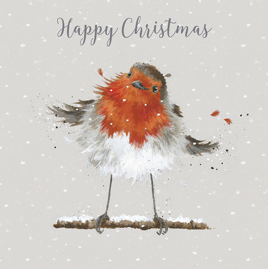 Wrendale Designs Christmas Cards Box-8 Premium ROBIN Christmas Robin