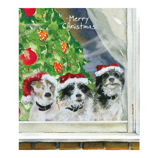 The Little Dog Laughed Mini Christmas Card Dog JACK RUSSELL TERRIERS Harry, Carrot & Sprout