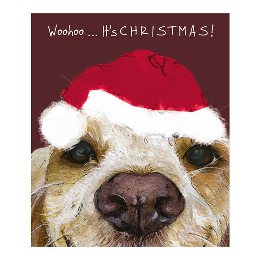 The Little Dog Laughed Mini Christmas Card Dog SPANIEL Jenson