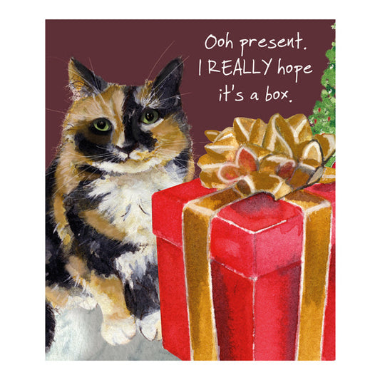 The Little Dog Laughed Mini Christmas Card Cat TORTOISESHELL Juno