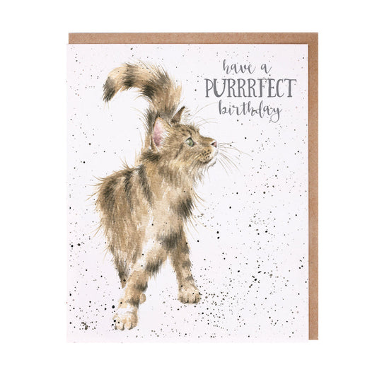 Wrendale Designs card Occasions Birthday JUST PURRRFECT cat