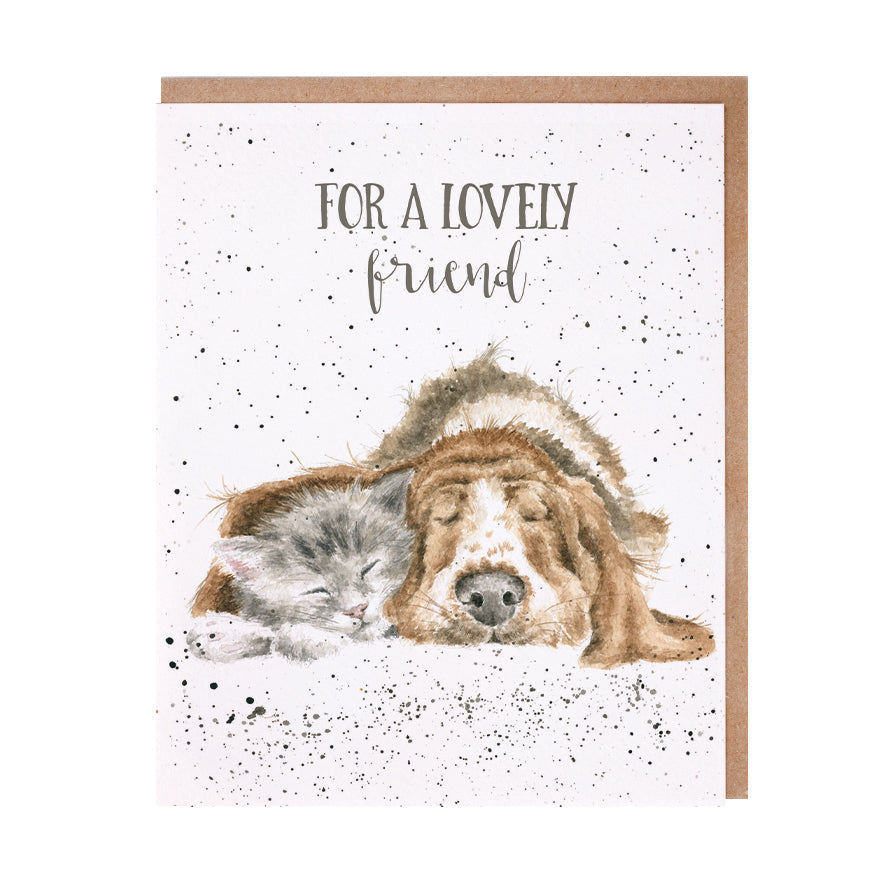 Wrendale Designs card Occasions Friendship TO A LOVELY FRIEND DOG & CATNAP dog cat