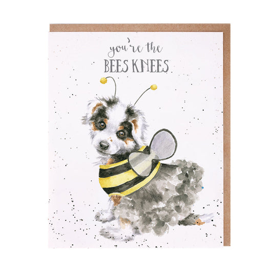 Wrendale Designs card Occasions Frienship THE BEES KNEES dog spaniel