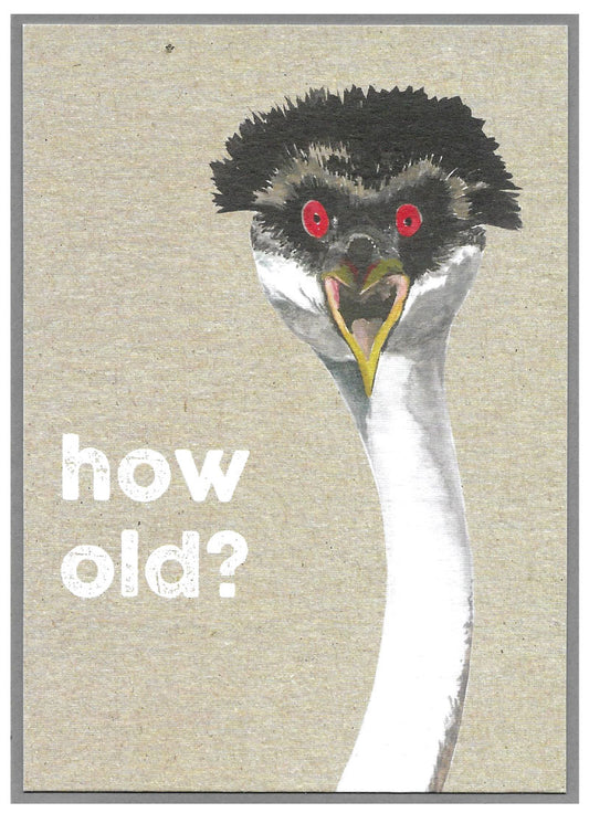Cinnamon Aitch Quirky Birds & Critters Card EMU