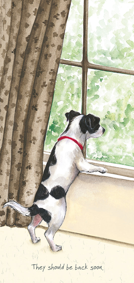 The Little Dog Laughed Greeting Card Dog JACK RUSSELL STAFFIEX Smiffy