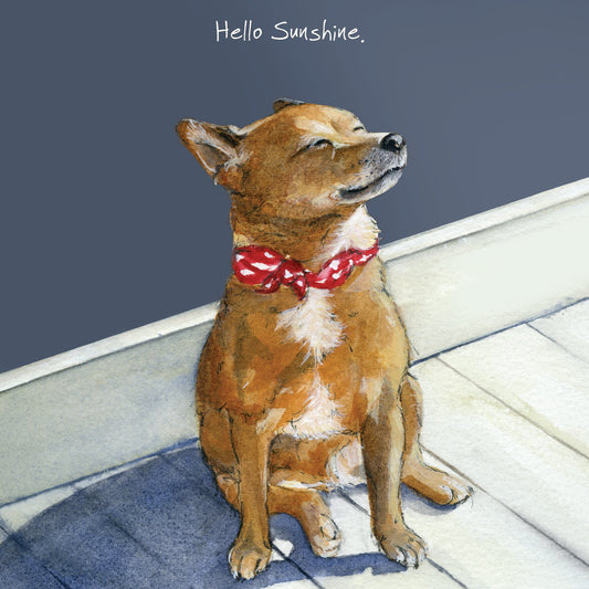 The Little Dog Laughed Greeting Card Dog JACK RUSSELLX Monty