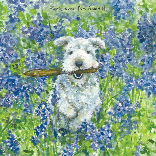 The Little Dog Laughed Greeting Card Dog LAKELAND TERRIER Brodie
