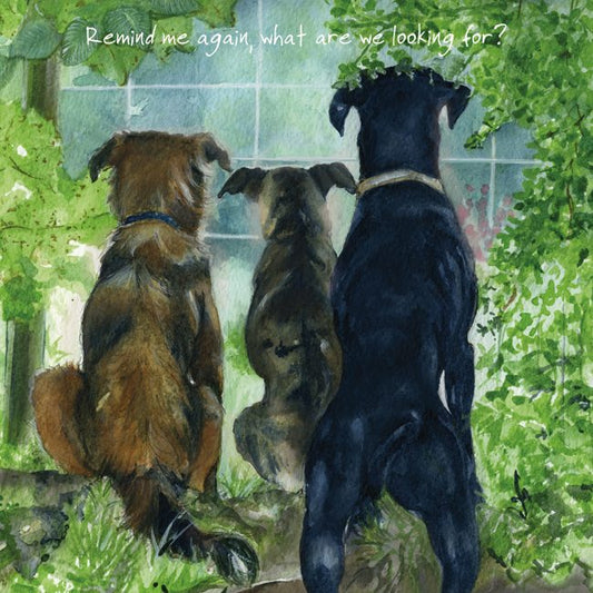 The Little Dog Laughed Greeting Card Dog RESCUES Shaymus, Bella & George