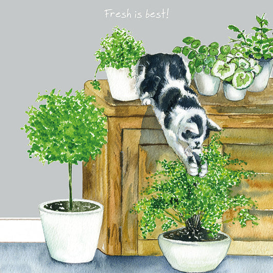 The Little Dog Laughed Greeting Card Cat BLACK & WHITE Martha and fern