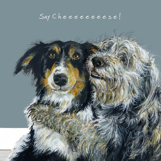 The Little Dog Laughed Greeting Card Dog BORDER & BEARDED COLLIES Bosie & Google