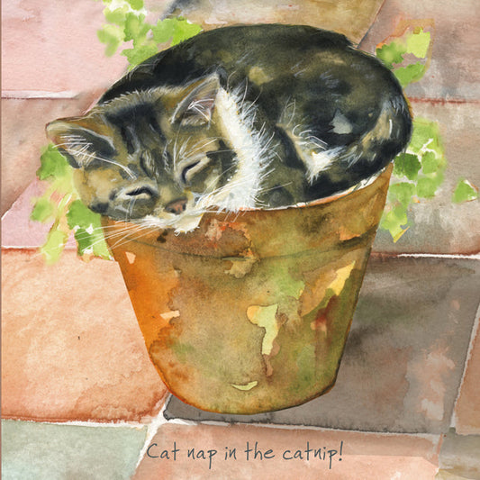 The Little Dog Laughed Greeting Card Cat TABBY Leo