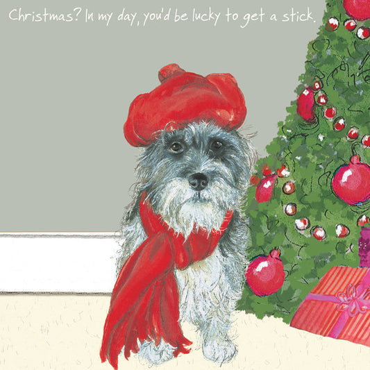 The Little Dog Laughed Christmas Card Dog MIXED-BREED Brock