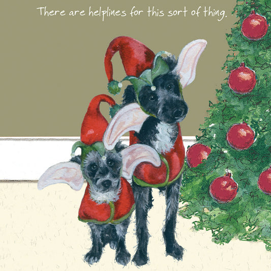 The Little Dog Laughed Christmas Card Dog PATTERDALE TERRIERS Paul & Ringo