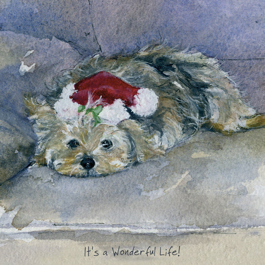 The Little Dog Laughed Christmas Card Cat YORKIE Tubbs
