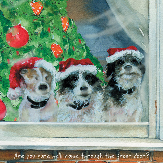 The Little Dog Laughed Christmas Card Dog TERRIERS Harry, Carrot & Sprout