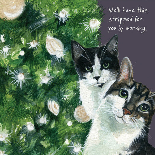 The Little Dog Laughed Christmas Card Cat BLACK & WHITE MOGGIES Rio & Gerry