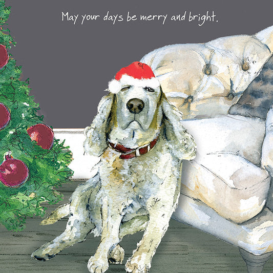 The Little Dog Laughed Christmas Card Dog OLD SPANIEL Millie