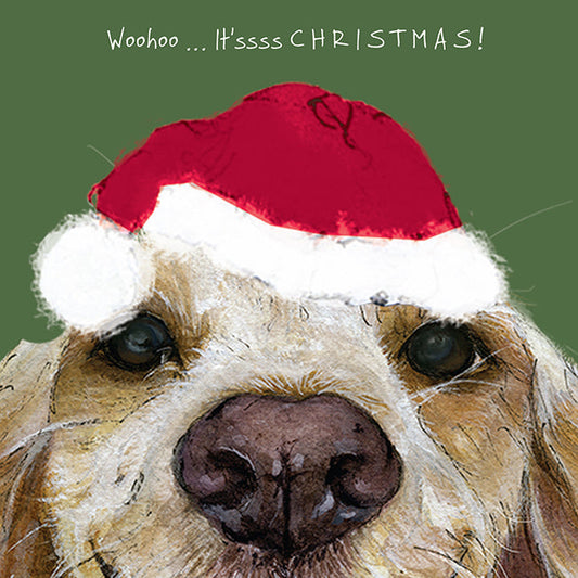 The Little Dog Laughed Christmas Card Dog SPANIEL Jenson
