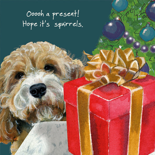 The Little Dog Laughed Christmas Card Dog CAVAPOO Ziggy