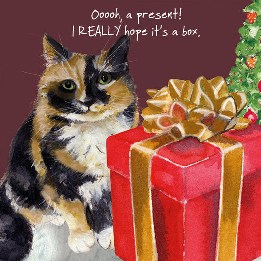 The Little Dog Laughed Christmas Card Cat TORTOISESHELL MOGGIE Juno
