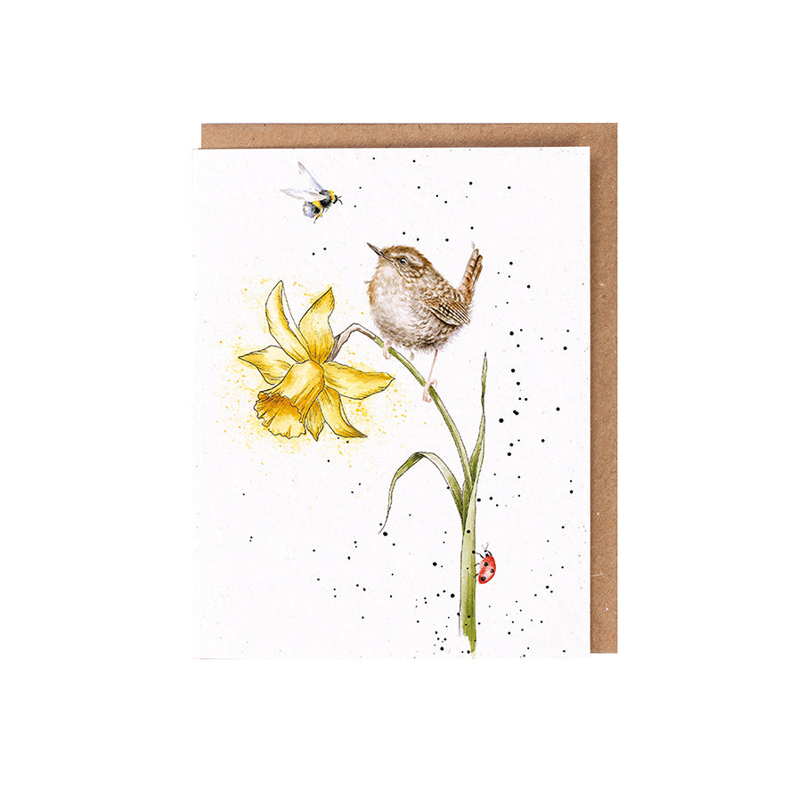 Wrendale Designs card The Wild Collection Wren THE BIRDS and the BEES