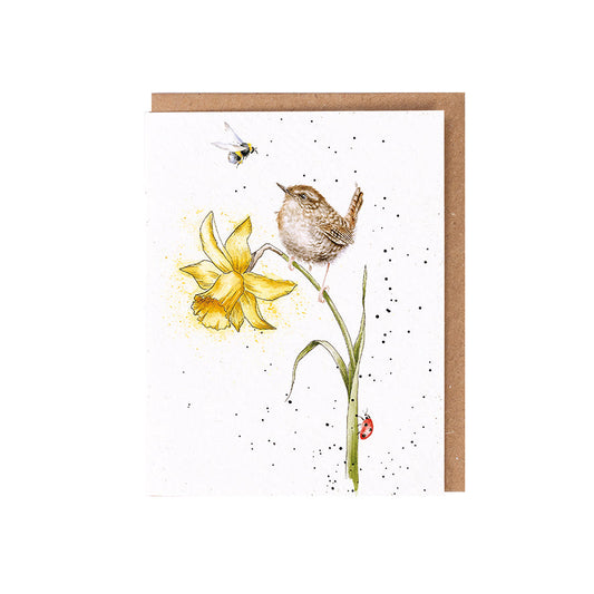 Wrendale Designs card The Wild Collection Wren THE BIRDS and the BEES 