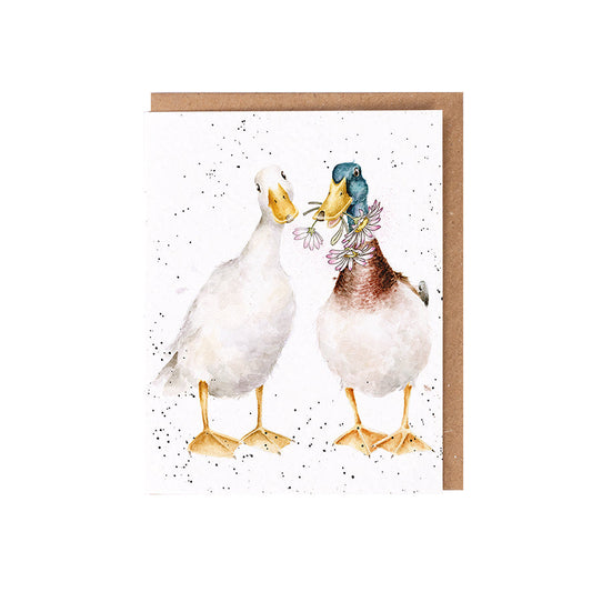 Wrendale Designs card The Wild Collection Ducks NOT A DAISY GOES BY 