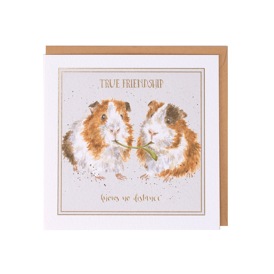 Wrendale Designs card Words of Wisdom Guinea Pig TRUE FRIENDSHIP