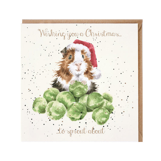Wrendale Designs Christmas Card single GUINEA PIG sprouts