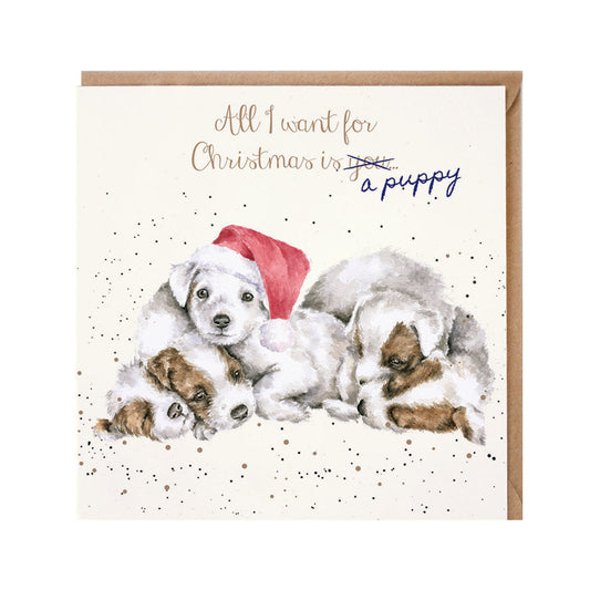 Wrendale Designs Christmas Card single PUPPIES please Santa