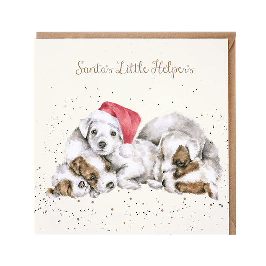 Wrendale Designs Christmas Card single PUPPIES santa hat