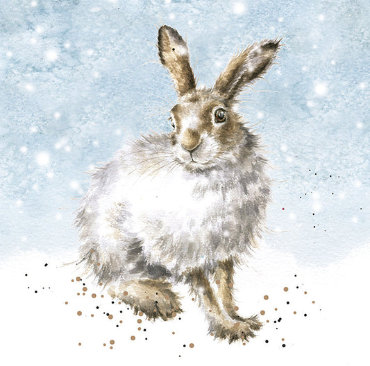 Wrendale Designs Chrsitmas Cards pack 8 WHITE HARE snow
