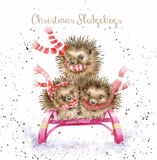 Wrendale Designs Chrsitmas Cards pack 8 HEDGEHOGS three cherry sled