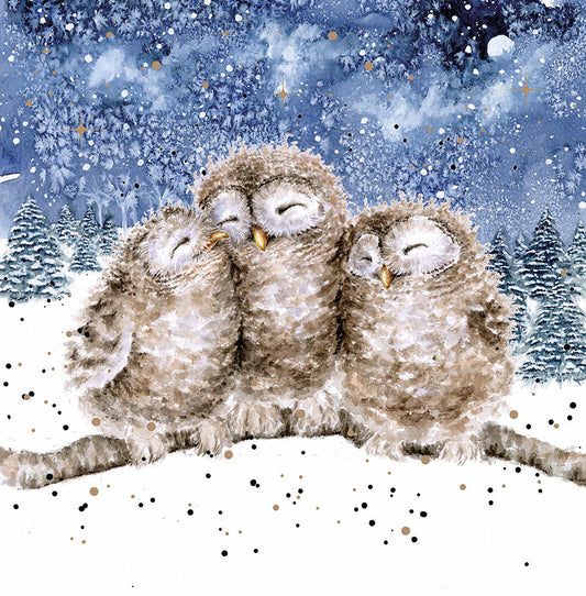 Wrendale Designs Chrsitmas Cards pack 8 OWLS night sky