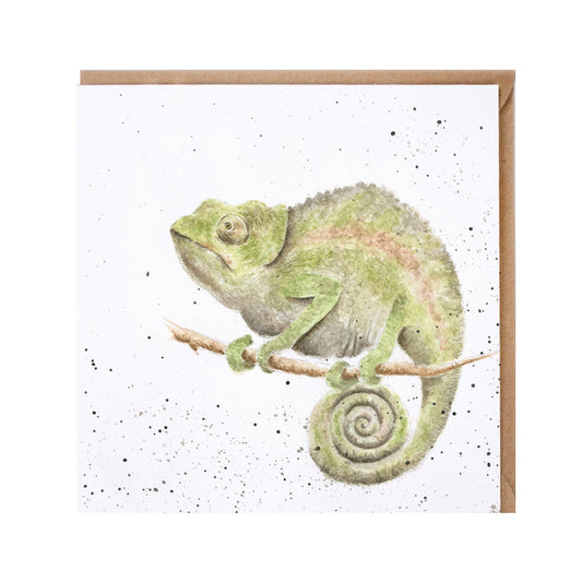Wrendale Designs card Zoology Collection Chameleon CHAMELEON