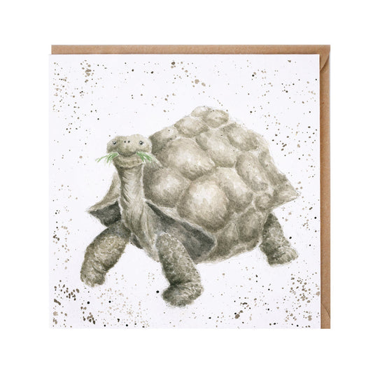 Wrendale Designs card Zoology Collection Tortoise AGED TO PERFECTION