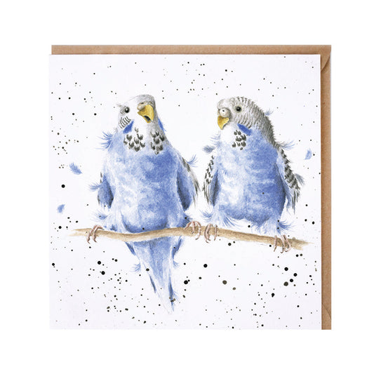 Wrendale Designs card Zoology Collection Budgies DATE NIGHT