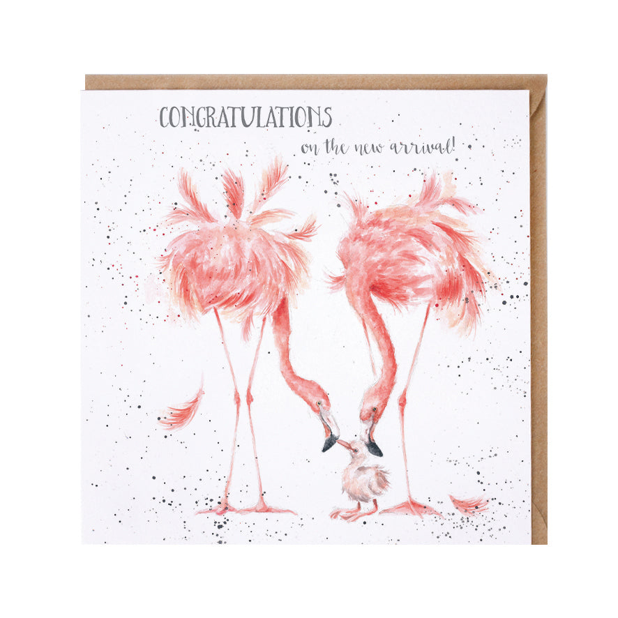 Wrendale Designs card Zoology Collection Flamingos NEW ARRIVAL NB