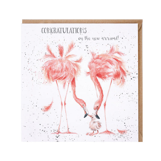 Wrendale Designs card Zoology Collection Flamingos NEW ARRIVAL  NB