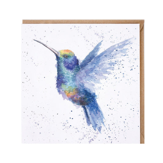 Wrendale Designs card Zoology Collection Hummingbird RAINBOW