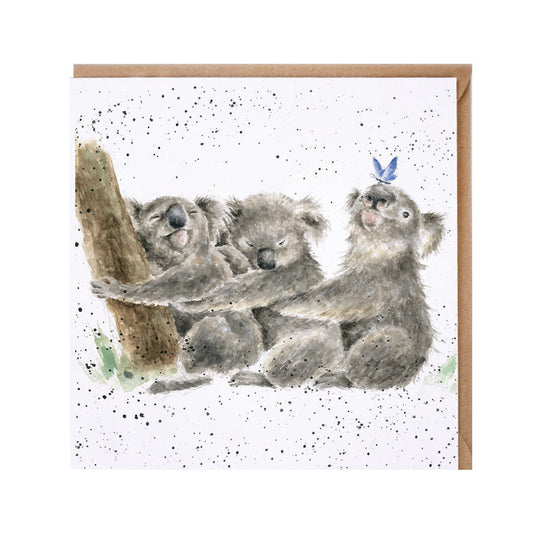 Wrendale Designs card Zoology Collection Koalas THREE OF A KIND 