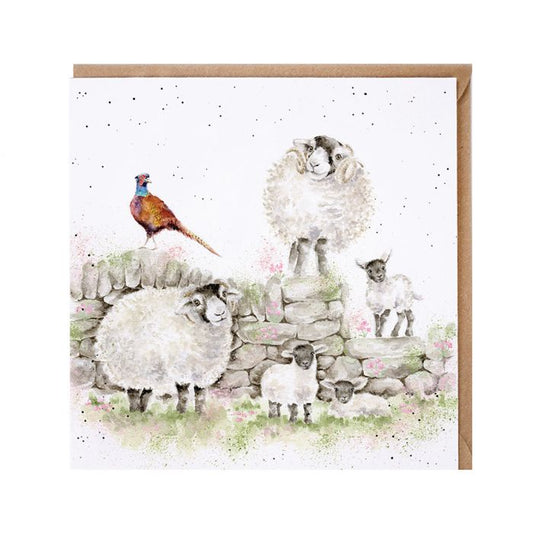Wrendale Designs card Country Set GREEN PASTURES sheep