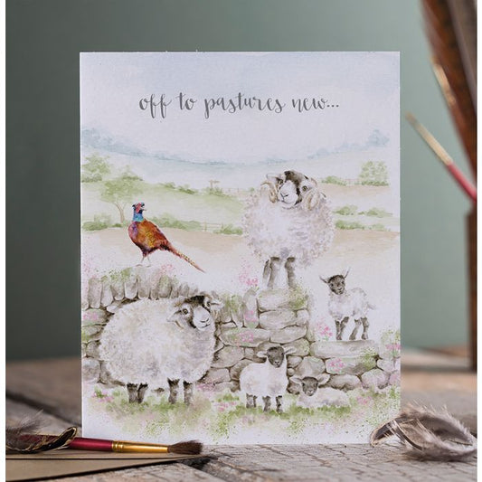 Wrendale Designs card Occasions Retirement/ Leave PASTURES NEW sheep