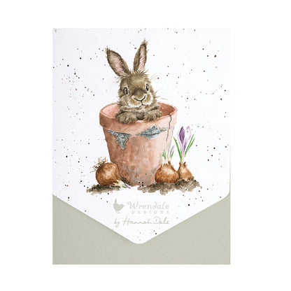 Wrendale Writing Set 8 Cards RABBIT flower pot