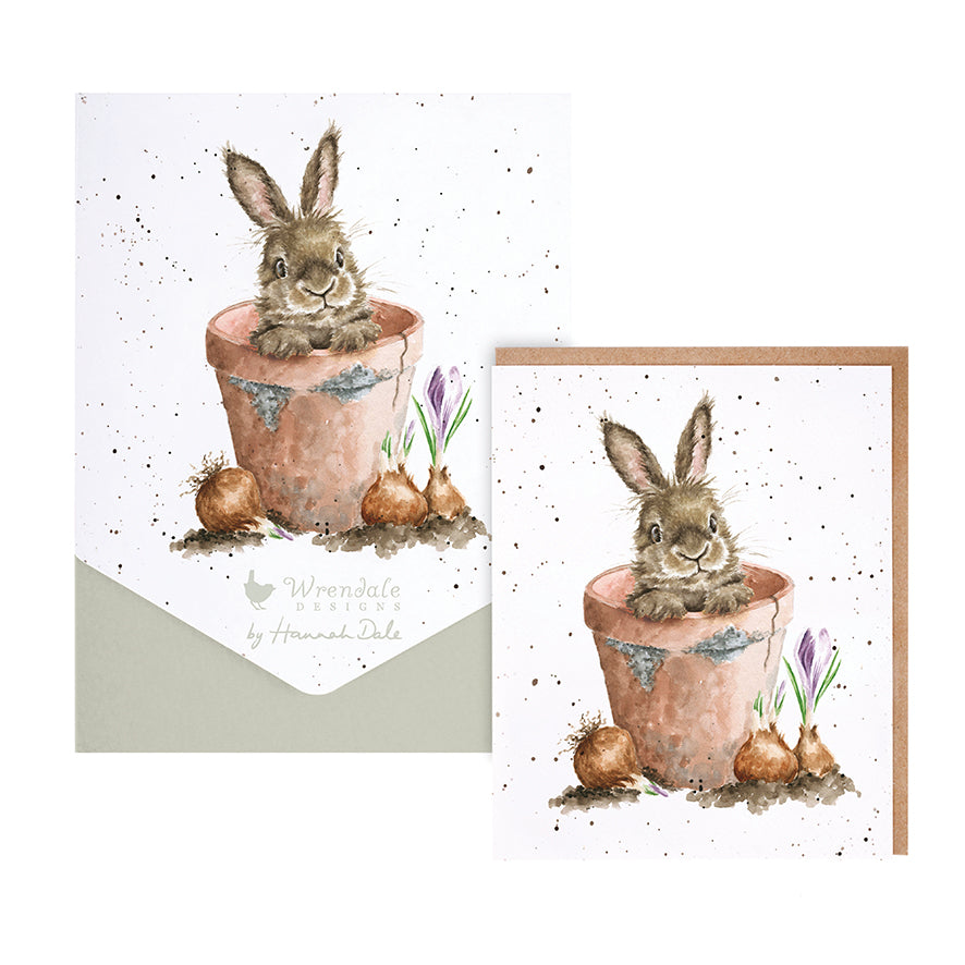 Wrendale Writing Set 8 Cards RABBIT flower pot