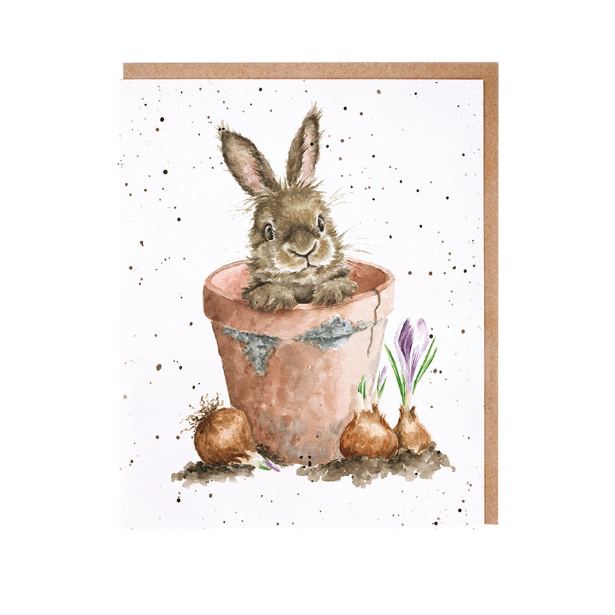 Wrendale Writing Set 8 Cards RABBIT flower pot